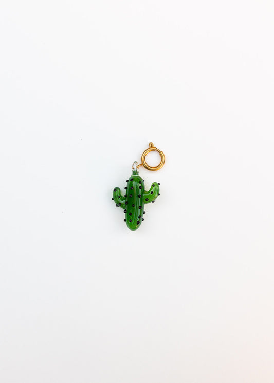 Charm Cactus